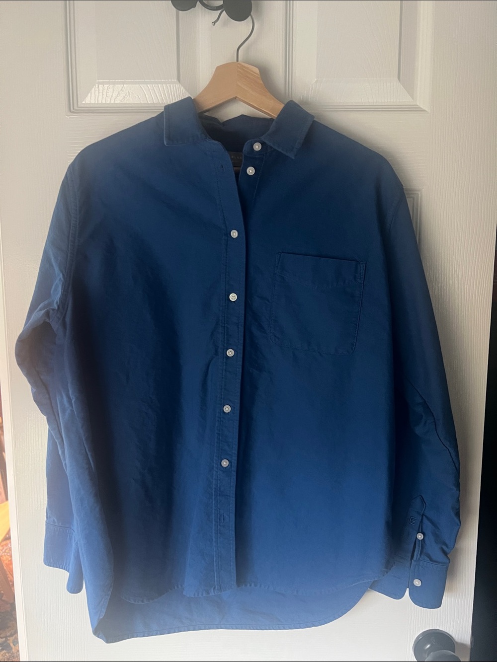 Everlane Cotton Long Sleeve Button Down, Blue, 12